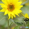 7D2_5828