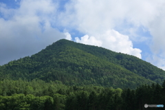 5D3_7969