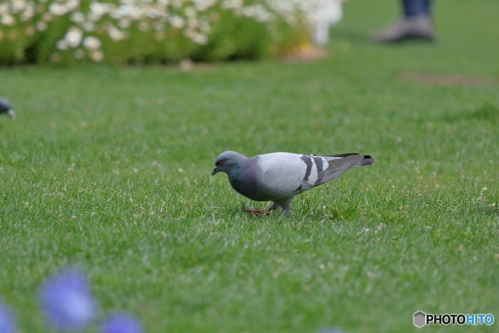 IMG_0625