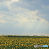 7D2_6425
