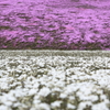 CC0A1362