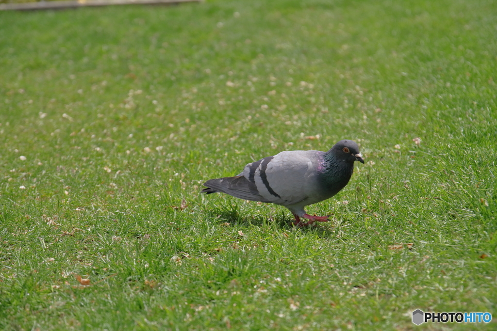 IMG_0629
