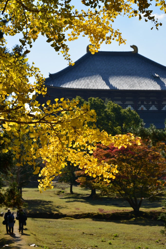 晩秋の東大寺