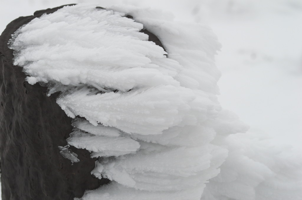 風雪後