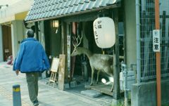 IMG_20220403_0019_01