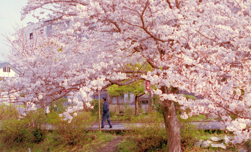 IMG_20220402_0020_01