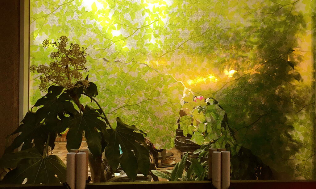 006