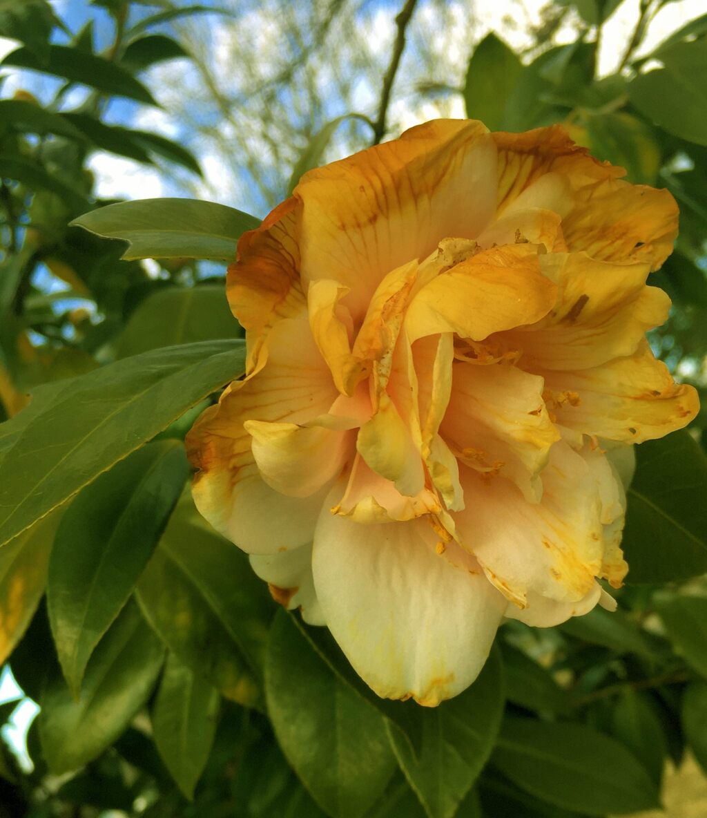 029