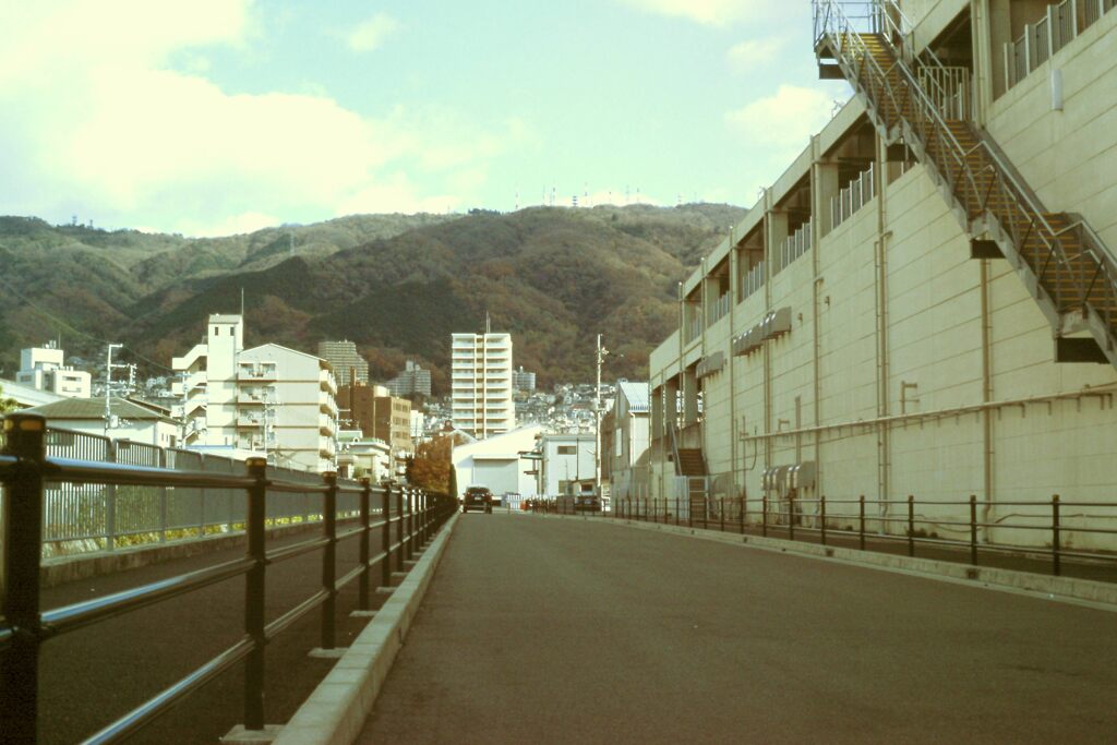 PICT0031