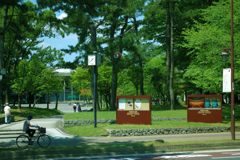 DSC_1187 DSC_1187