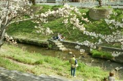 IMG_20220403_0046