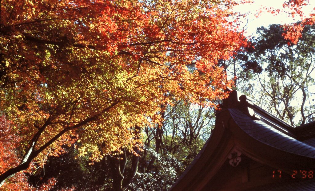 PICT0060