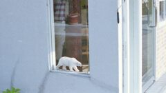 IMG_20220402_0025_02