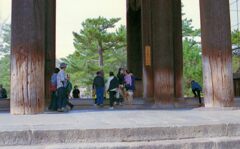 IMG_20220402_0011_01