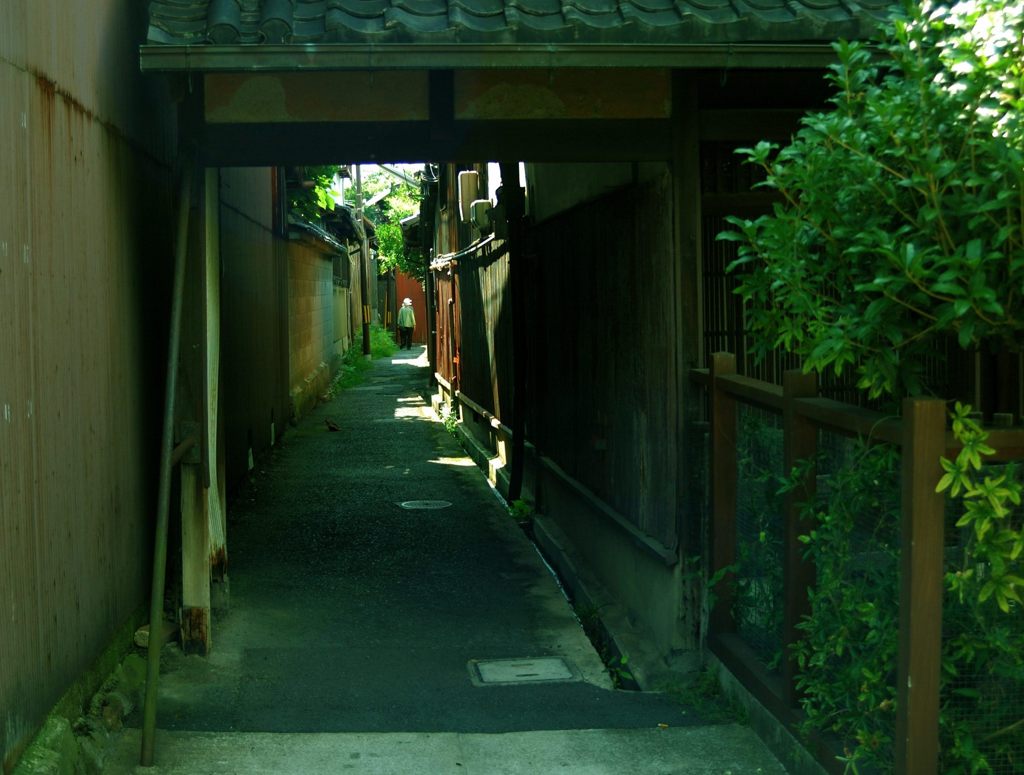 DSC_8992
