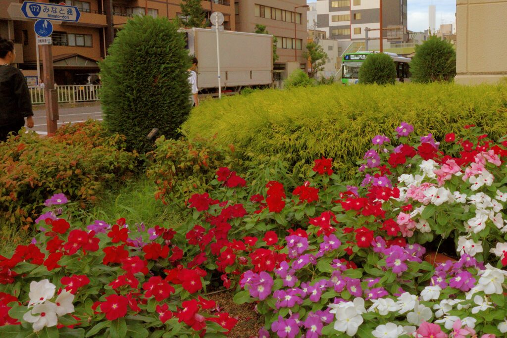 DSC00450