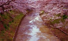IMG_20220403_0015