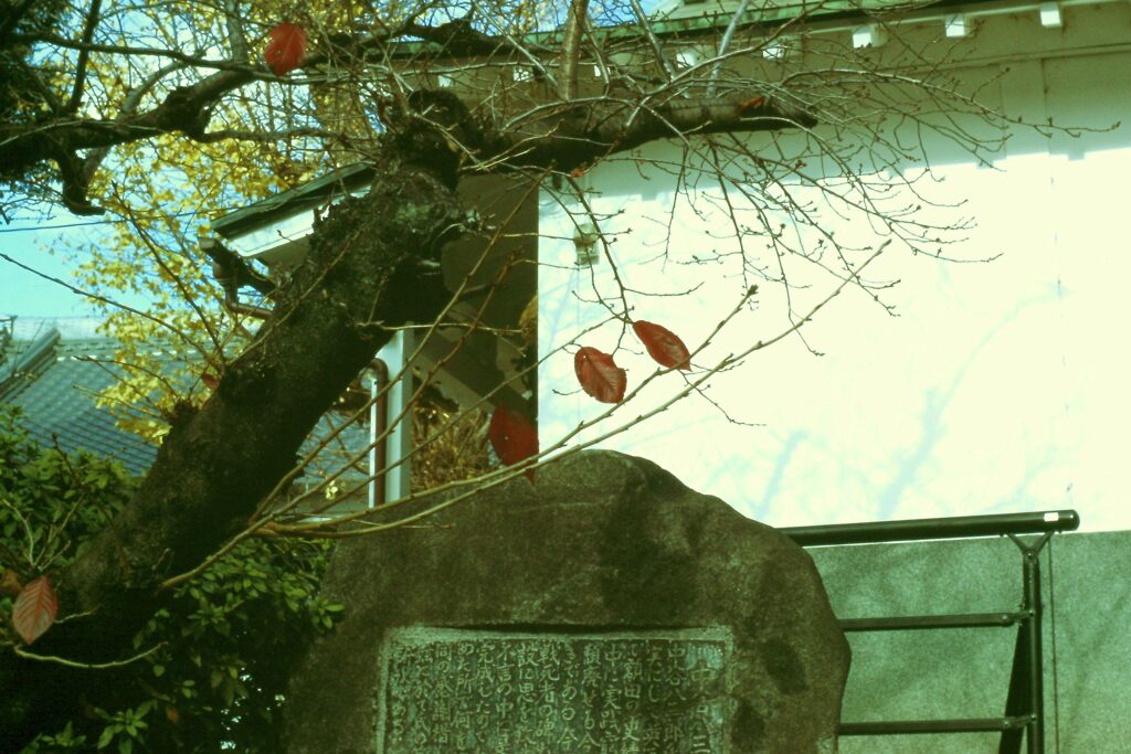 PICT0045