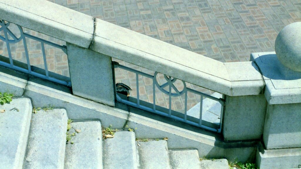 IMG_20220419_0007_01