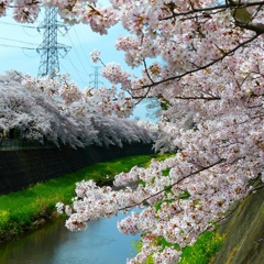 20160406