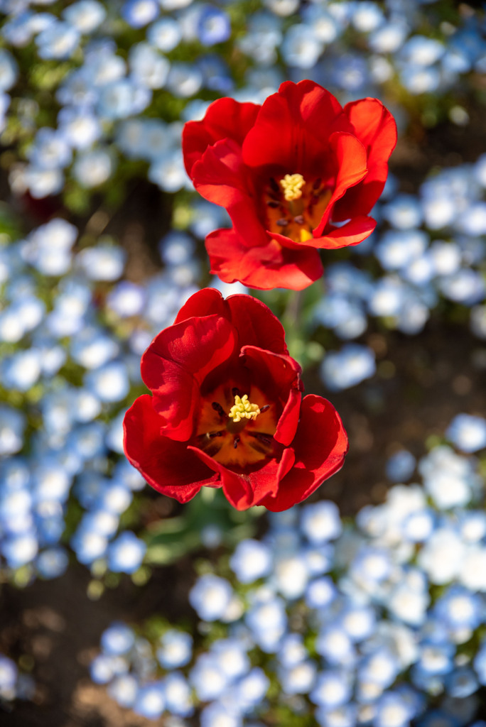 DSC_9007