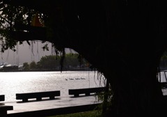 DSC_9389