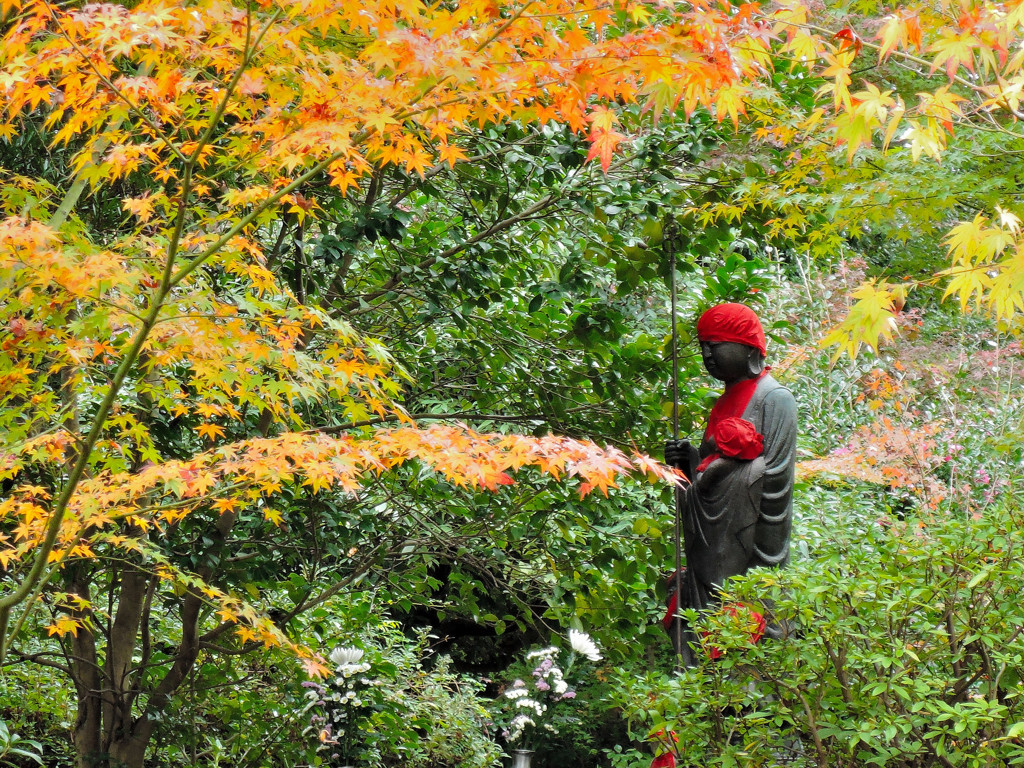 紅葉に祈る
