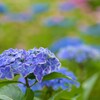 DSC_3035 (2)