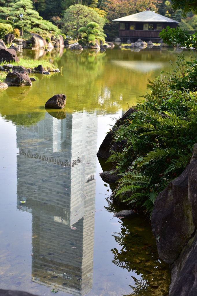 逆立ちも日本一