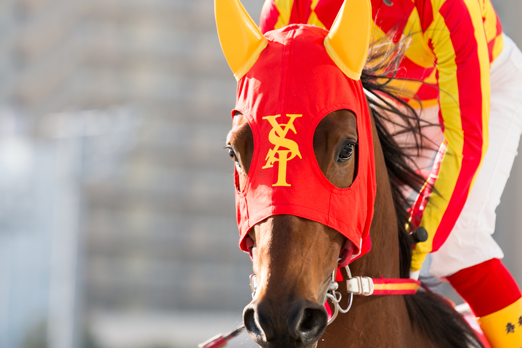 競馬＠川崎競馬場#02