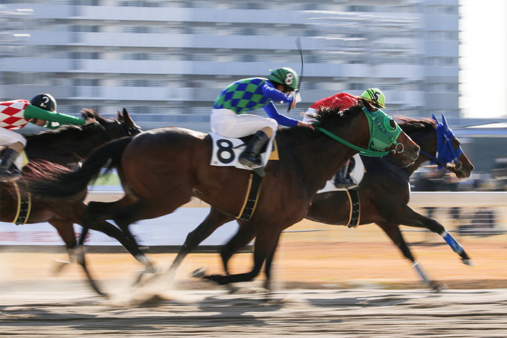 競馬＠川崎競馬場#01