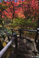 ブリヂストン奥多摩園