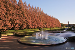 相模原公園