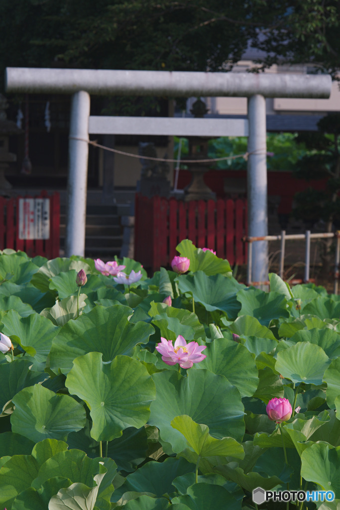 小山田神社