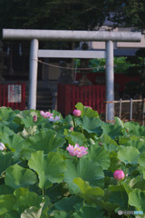 小山田神社