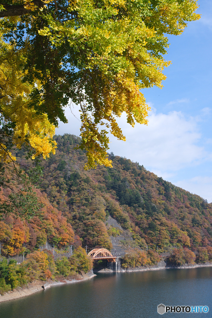 川野生活館