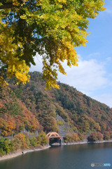 川野生活館