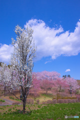 気持ちも晴れる