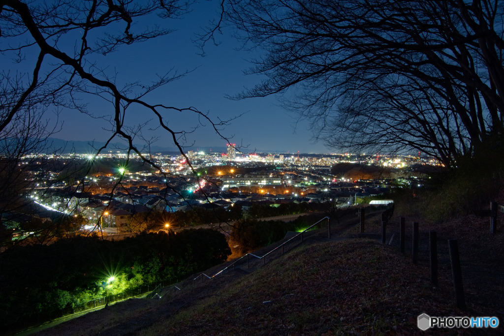 大塚山公園の夜景