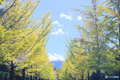 秋の空