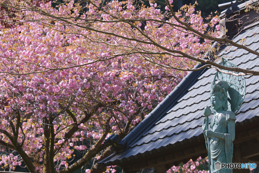 霊山院