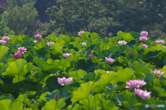 小山田神社