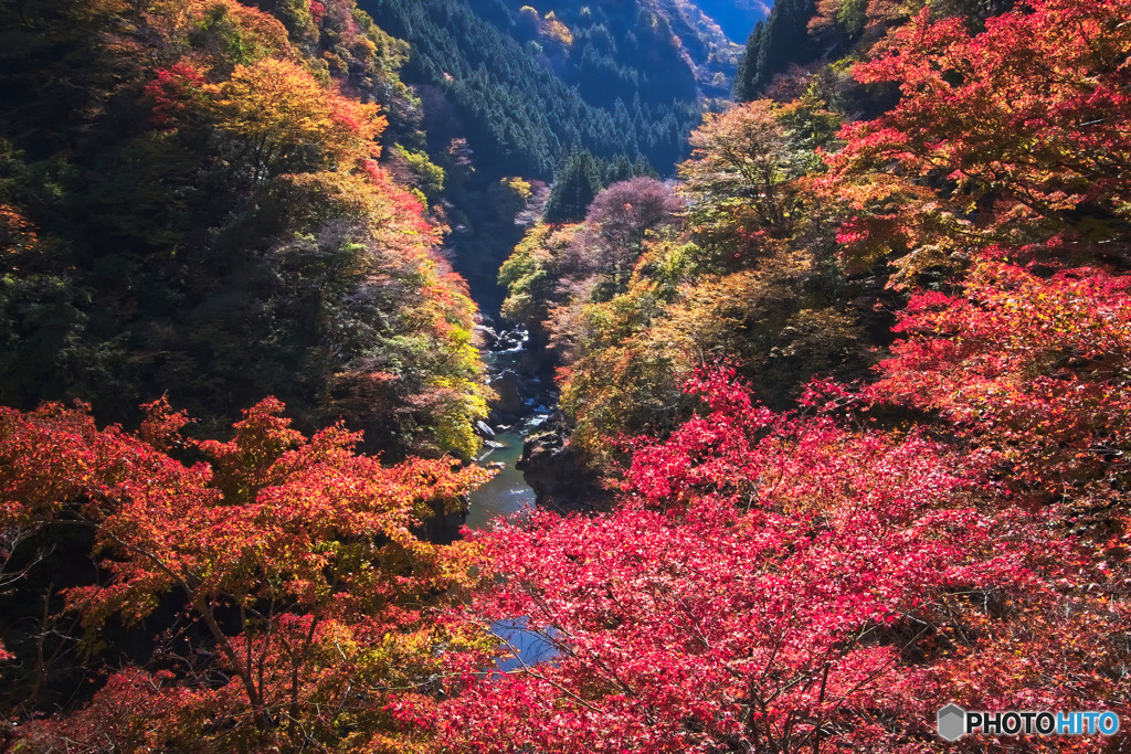 金蔵落としの渓流