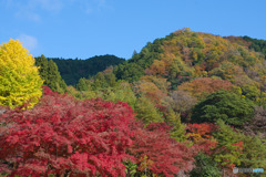 ブリヂストン奥多摩園