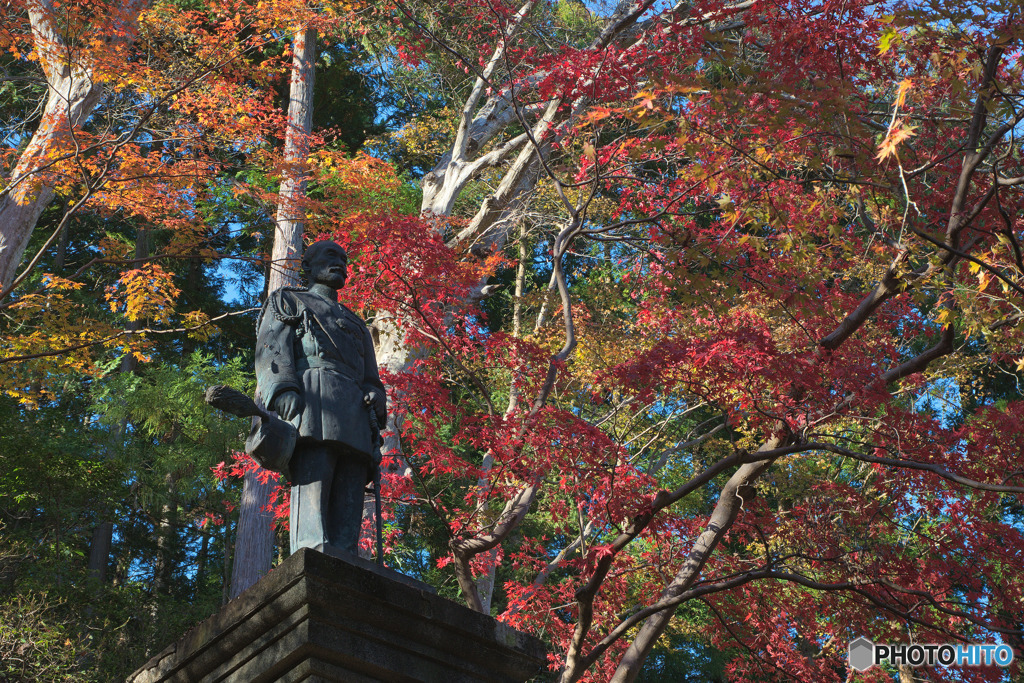 東郷公園