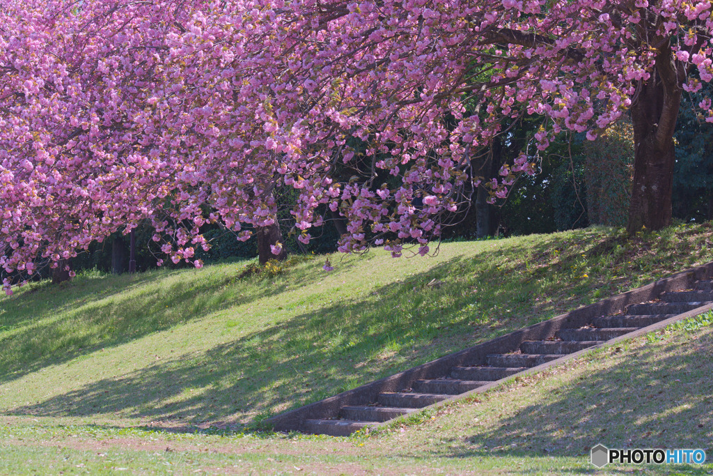 川越運動公園