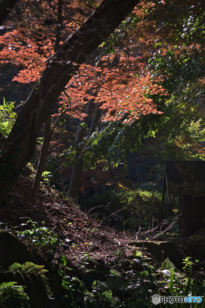 里山