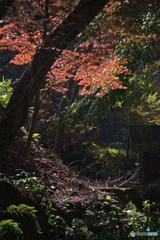 里山