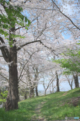 高倉寺