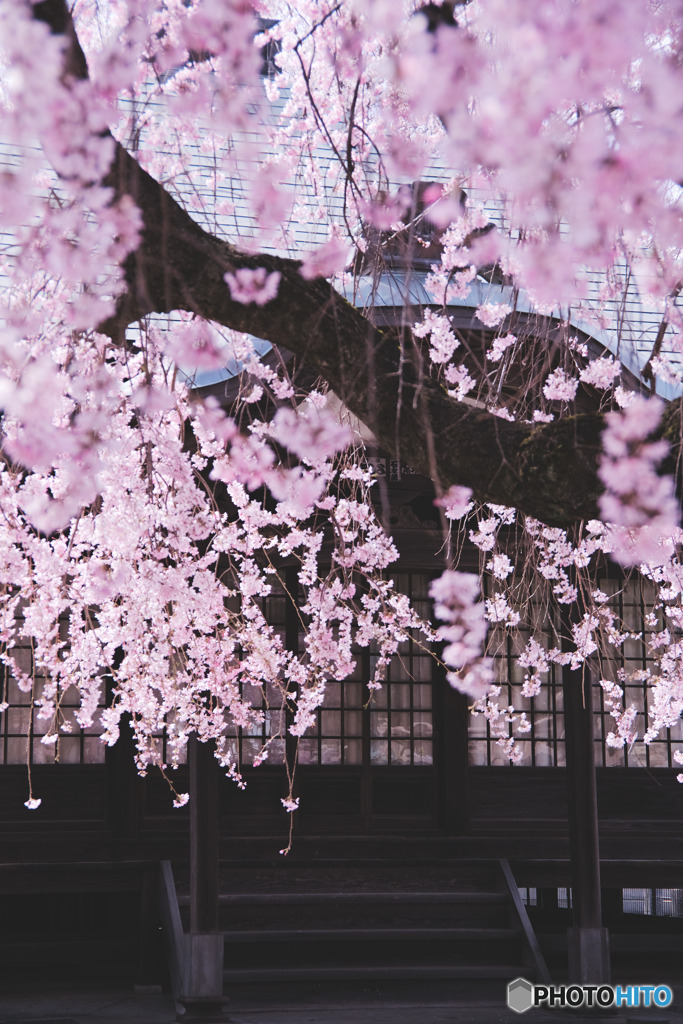 多聞寺の薬師堂
